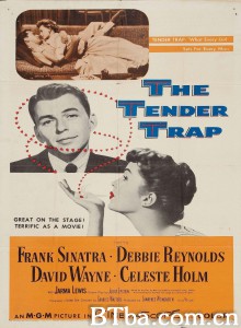 温柔陷井/The Tender Trap‎-720p|1080p高清bt种子下载