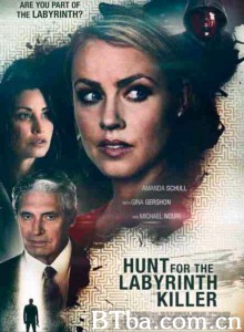 Hunt for the Labyrinth Killer Hunt for the Labyrinth Killer-720p|1080p高清bt种子下载