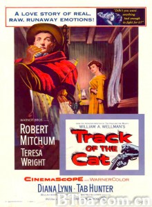 雪山恨/Track of the Cat‎-720p|1080p高清bt种子下载