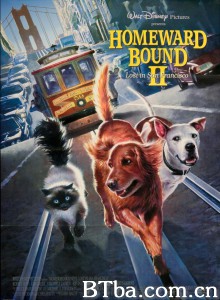 看狗在说话之旧金山历险记/Homeward Bound II: Lost in San Francisco‎-720p|1080p高清bt种子下载
