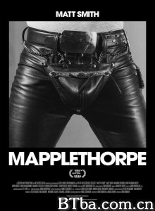 梅普尔索普/Mapplethorpe‎-720p|1080p高清bt种子下载