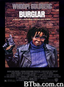 妙贼追凶/Burglar‎-720p|1080p高清bt种子下载