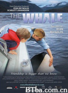 虎鲸/The Whale 虎鲸/The Whale-720p|1080p高清bt种子下载