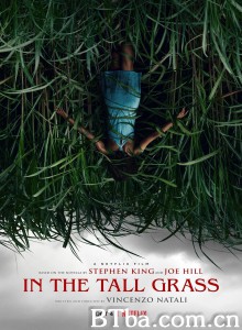 高草丛中/高草魅声(台)/In the Tall Grass‎-720p|1080p高清bt种子下载
