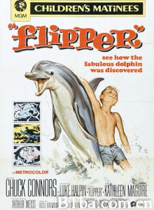 海豚飞宝/Flipper‎-720p|1080p高清bt种子下载