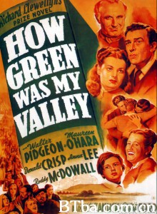 青山翠谷/How Green Was My Valley‎-720p|1080p高清bt种子下载