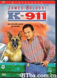 妙探狗福星2/K-911‎-720p|1080p高清bt种子下载