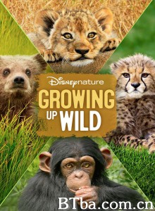 Growing Up Wild‎-720p|1080p高清bt种子下载