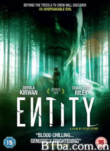 实体/Entity 实体/Entity-720p|1080p高清bt种子下载