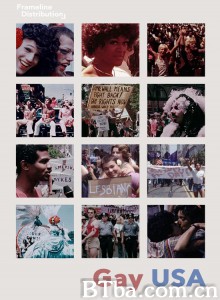 同志美国/Gay USA 同志美国/Gay USA-720p|1080p高清bt种子下载