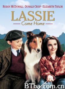 灵犬莱西/Lassie Come Home‎-720p|1080p高清bt种子下载