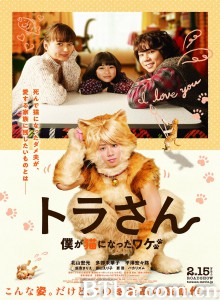 虎先生/トラさん～僕が猫になったワケ～‎-720p|1080p高清bt种子下载