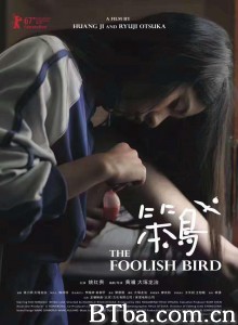 笨鸟 笨鸟-720p|1080p高清bt种子下载