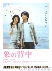 象的背影/象の背中 象的背影/象の背中-720p|1080p高清bt种子下载