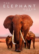 大象女王/The Elephant Queen‎