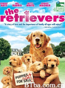 流浪犬/The Retrievers‎-720p|1080p高清bt种子下载