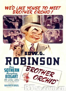 兄弟帮/Brother Orchid‎-720p|1080p高清bt种子下载