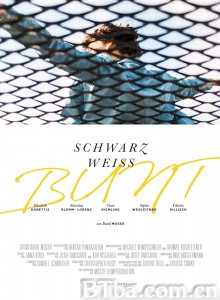 Schwarz Weiss Bunt‎-720p|1080p高清bt种子下载