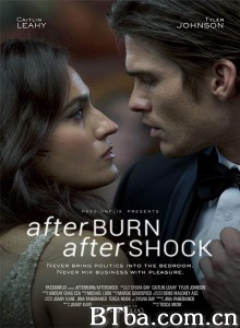 后燃余震/Afterburn/Aftershock‎-720p|1080p高清bt种子下载