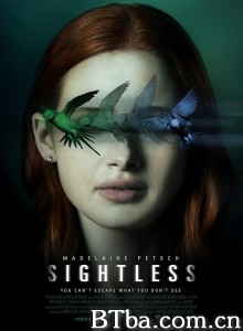 迷盲/Sightless 迷盲/Sightless-720p|1080p高清bt种子下载