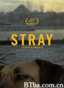 在迷途/浪浪歷險記(港)/Stray 在迷途/浪浪歷險記(港)/Stray-720p|1080p高清bt种子下载