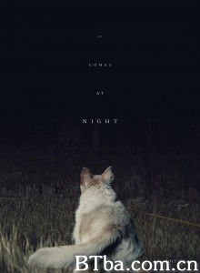 黑夜造访/它在黑夜到访(台)/It Comes at Night 黑夜造访/它在黑夜到访(台)/It Comes at Night-720p|1080p高清bt种子下载