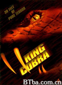 眼镜王蛇/King Cobra 眼镜王蛇/King Cobra-720p|1080p高清bt种子下载