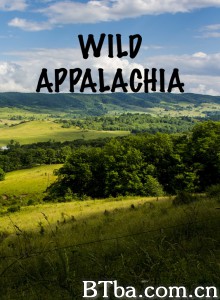 阿巴拉契亚自然写真/Wild Appalachia‎-720p|1080p高清bt种子下载