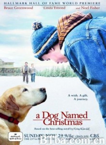 圣诞狗/A Dog Named Christmas‎-720p|1080p高清bt种子下载