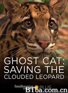 Ghost Cat: Saving the Clouded Leopard‎-720p|1080p高清bt种子下载