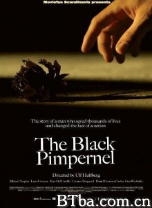 黑色繁笺花/全面交戰(台)/The Black Pimpernel‎-720p|1080p高清bt种子下载