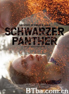 黑豹/Schwarzer Panther 黑豹/Schwarzer Panther-720p|1080p高清bt种子下载