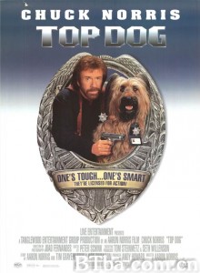 神探霹雳火/Top Dog‎-720p|1080p高清bt种子下载