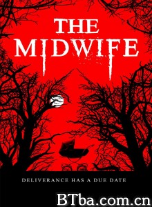 助产士/The Midwife 助产士/The Midwife-720p|1080p高清bt种子下载