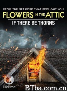 如果有荆棘/If There Be Thorns‎-720p|1080p高清bt种子下载
