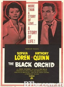 黑兰花/The Black Orchid‎-720p|1080p高清bt种子下载