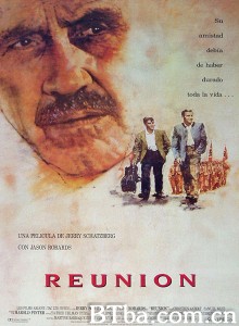 团圆/Reunion‎-720p|1080p高清bt种子下载