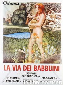 狒狒的方式/La via dei babbuini‎-720p|1080p高清bt种子下载