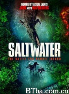 Saltwater.The.Battle.for.Ramree.Island‎-720p|1080p高清bt种子下载
