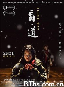 盲·道/盲道/盲流-720p|1080p高清bt种子下载