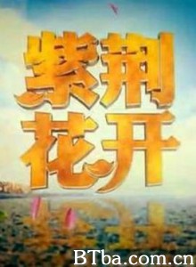紫荆花开-720p|1080p高清bt种子下载