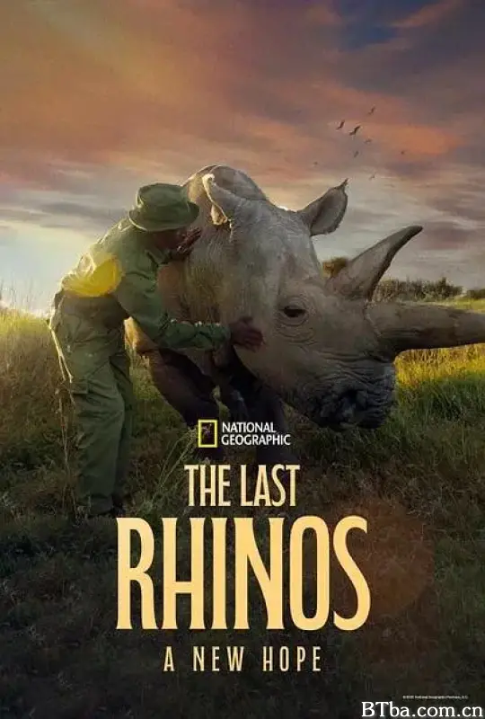 最后的犀牛:新希望/The Last Rhinos: A New Hope 最后的犀牛:新希望/The Last Rhinos: A New Hope-720p|1080p高清bt种子下载