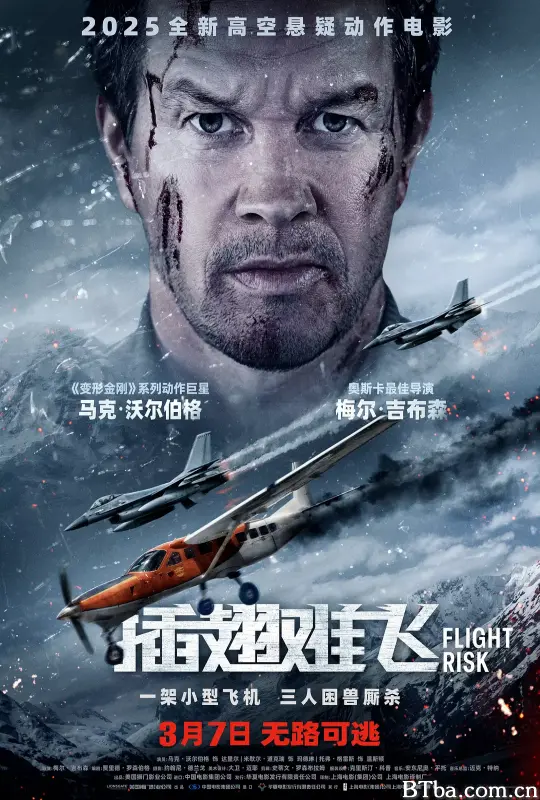 插翅难飞/高空杀机(港)，失速机劫(台)/Flight Risk-720p|1080p高清bt种子下载