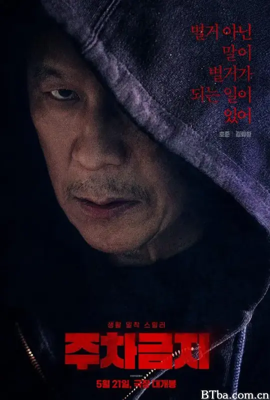 禁止停车/주차금지-720p|1080p高清bt种子下载