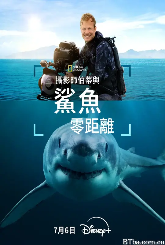 摄影师贝尔蒂与鲨鱼零距离/Sharks Up Close With Bertie Gregory 摄影师贝尔蒂与鲨鱼零距离/Sharks Up Close With Bertie Gregory-720p|1080p高清bt种子下载