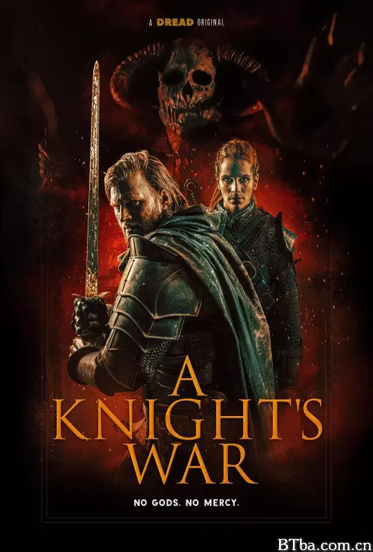 骑士的战争/A Knight’s War-720p|1080p高清bt种子下载