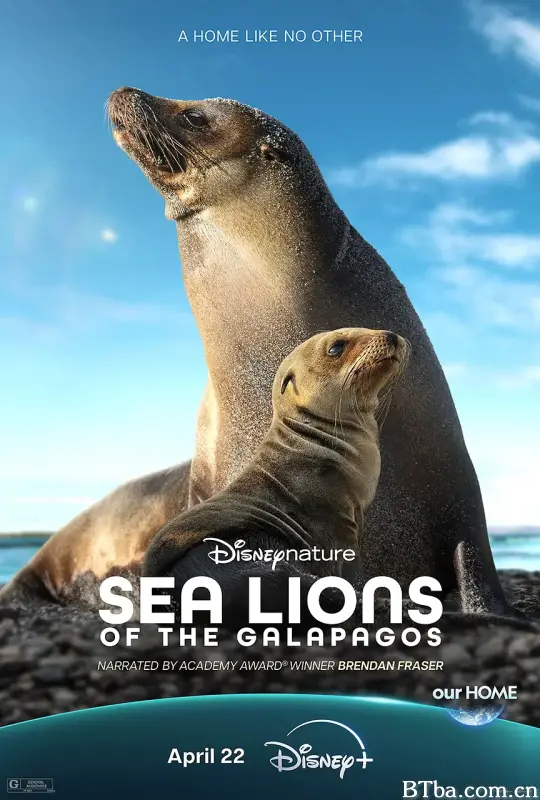 海狮利奥环岛记/Sea Lions of the Galápagos