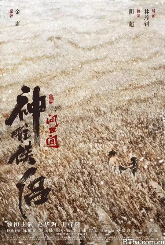 神雕侠侣：问世间