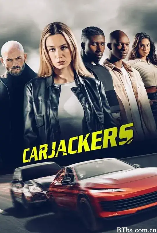 劫车大盗/Carjackers