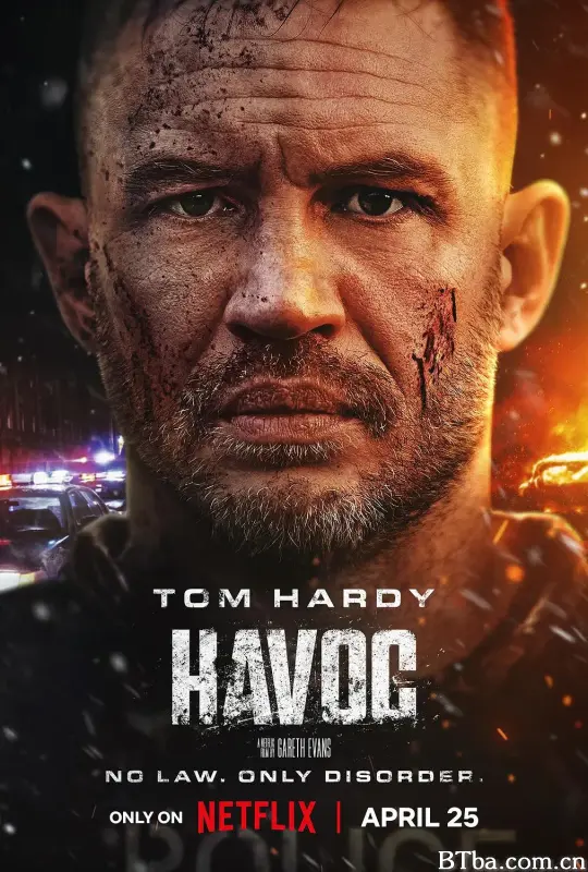 毒劫/Havoc